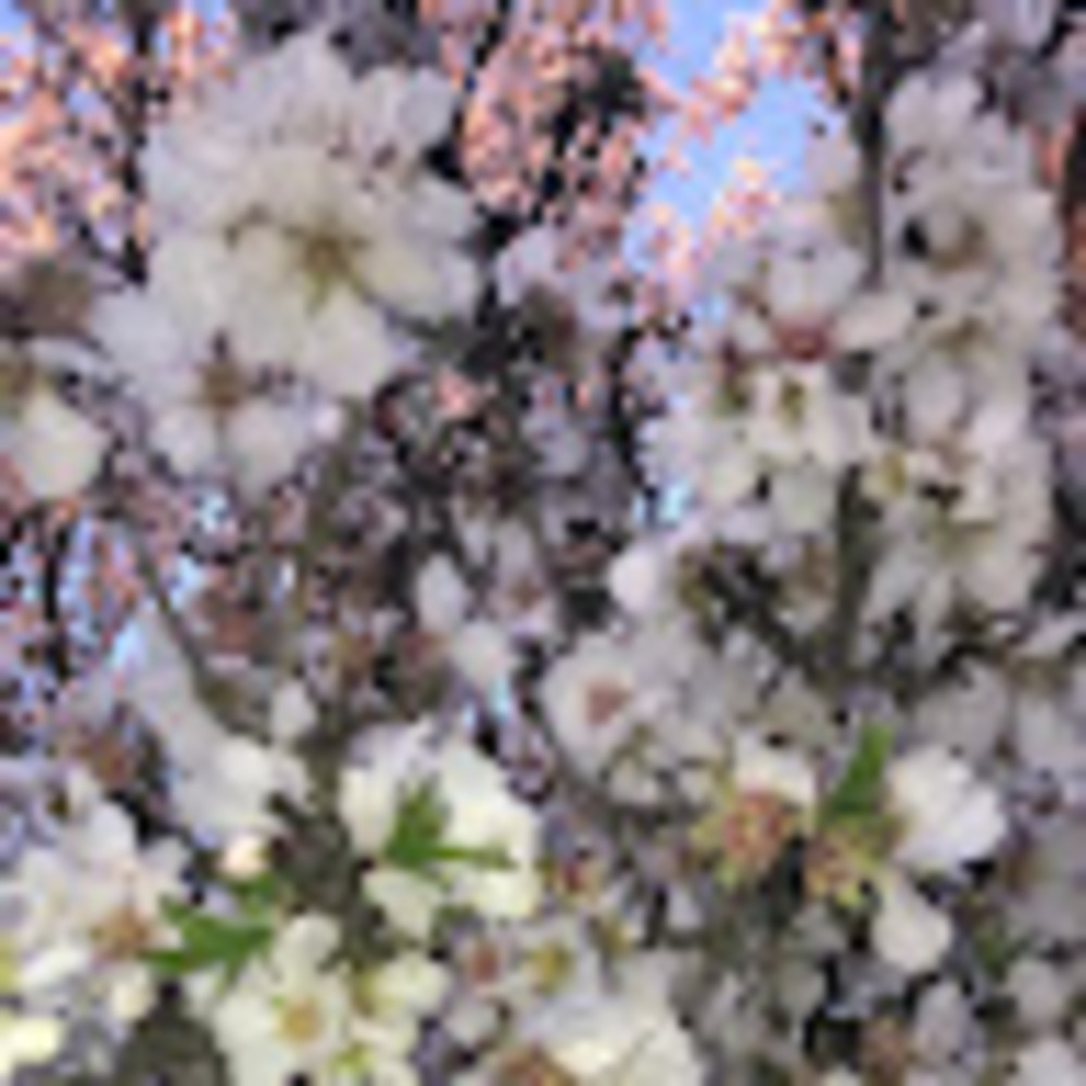 Meet your Posher, Neha